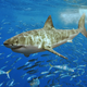 Illustration for article titled This alien-looking fish just rewrote the book on developmental genetics